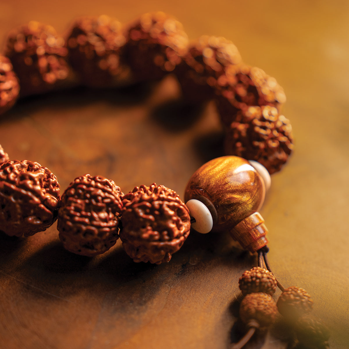 5 MUKHI RUDRAKSHA BRACELET