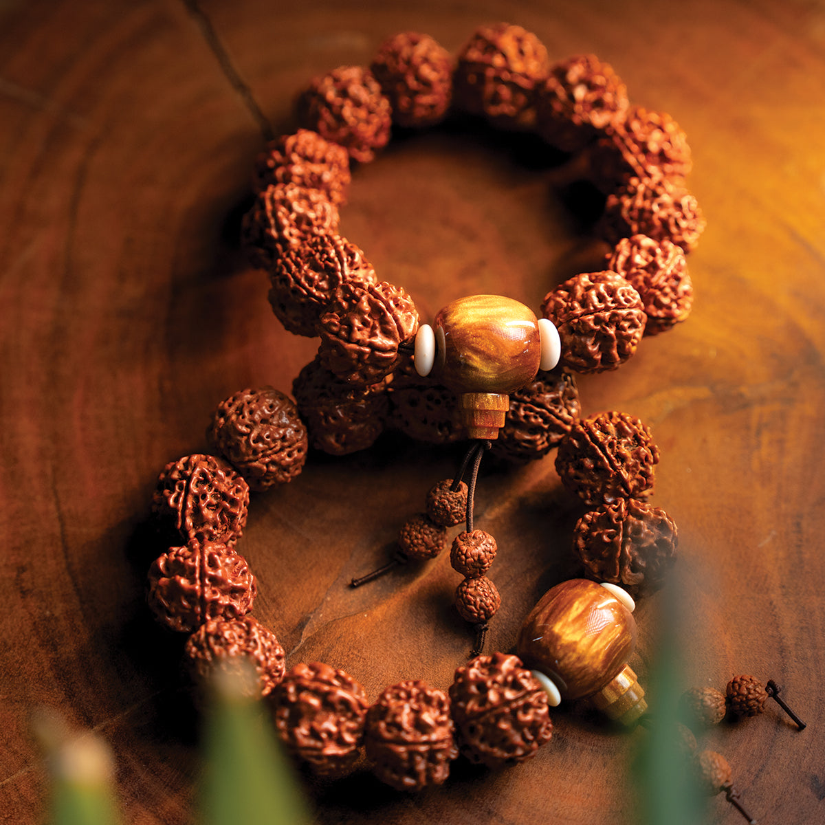 Panchmukhi Rudraksh Bracelet