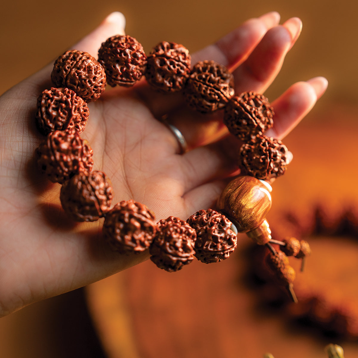 5 MUKHI RUDRAKSHA BRACELET