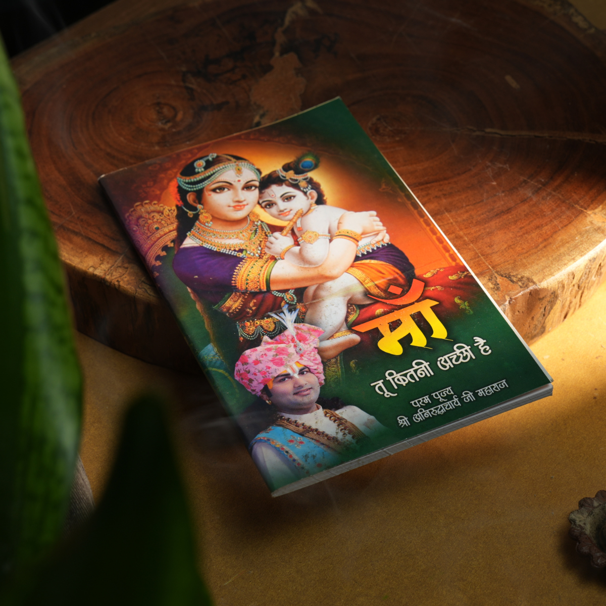 Ma Tu Kitni Pyari Hai written by Shri Aniruddhacharya Ji