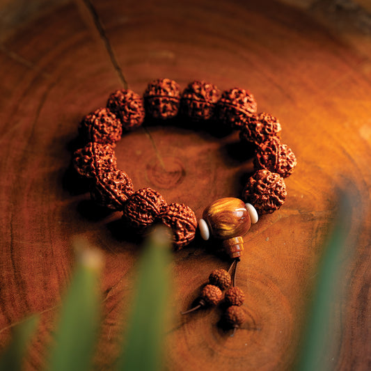 Panchmukhi Rudraksh Bracelet